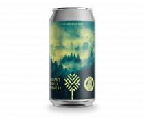 Vibrant Forest Misty Woods 21/03/23 (CANS)