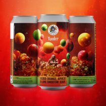 New Bristol X Yonder Blood Orange, Apricot & Lime Sour Smoothie (CANS)