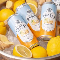 Vault City Lemon & Ginger Radler (CANS)