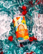 Vault City Monsieur Froid (CANS)